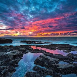 Meet your Posher, Sue